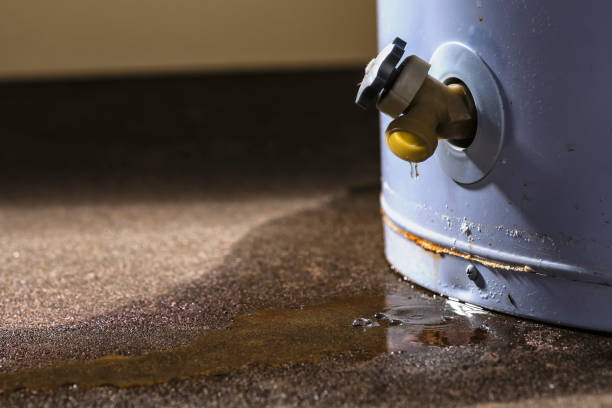 Best Water damage restoration specialists  in Pleasant Valley, WV