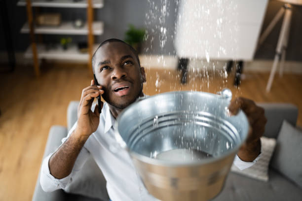 Best Basement water damage restoration  in Pleasant Valley, WV