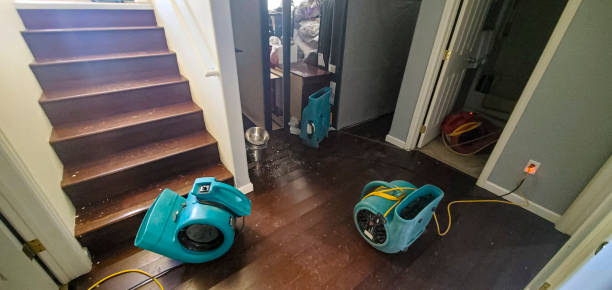 Best Flooded house restoration  in Pleasant Valley, WV