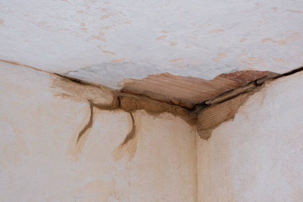 Best Ceiling water damage repair  in Pleasant Valley, WV