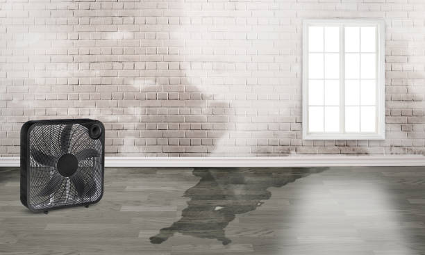 Best Water damage restoration insurance claims  in Pleasant Valley, WV