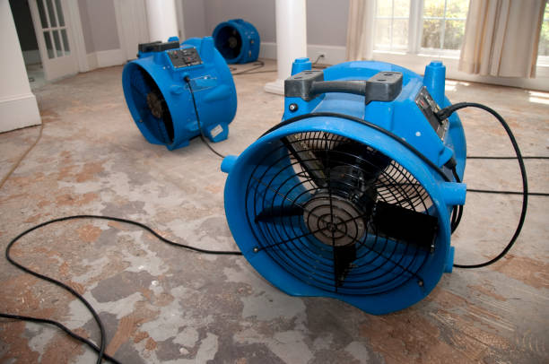 Best Ceiling water damage repair  in Pleasant Valley, WV