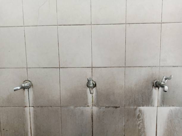 Best 24/7 water damage repair  in Pleasant Valley, WV