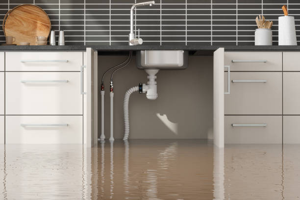 Best Residential water damage restoration  in Pleasant Valley, WV