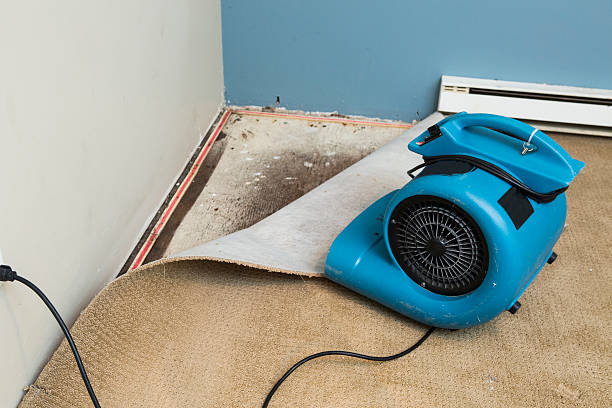 Reliable WV Water damage restoration Solutions